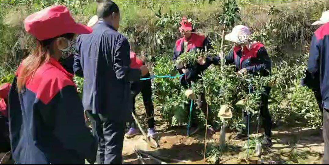 泓源力量助力脱贫攻坚—— 学好果园管理技能 铺好脱贫致富之路(图3) 泓源力量助力脱贫攻坚—— 学好果园管理技能 铺好脱贫致富之路(图3)