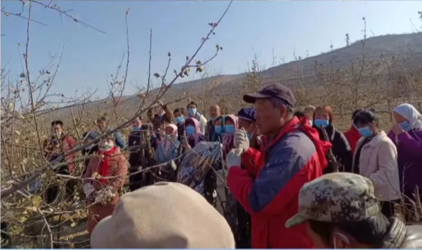 安博站官网登录入口在静宁帮扶村开展冬季果园管理培训(图2)