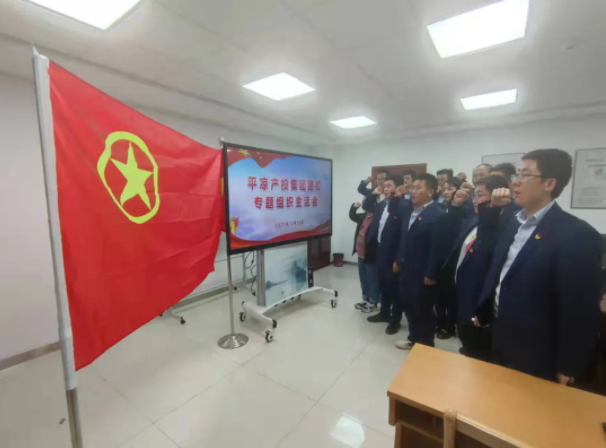 安博站官网登录入口团委召开2021年度专题组织生活会(图5)