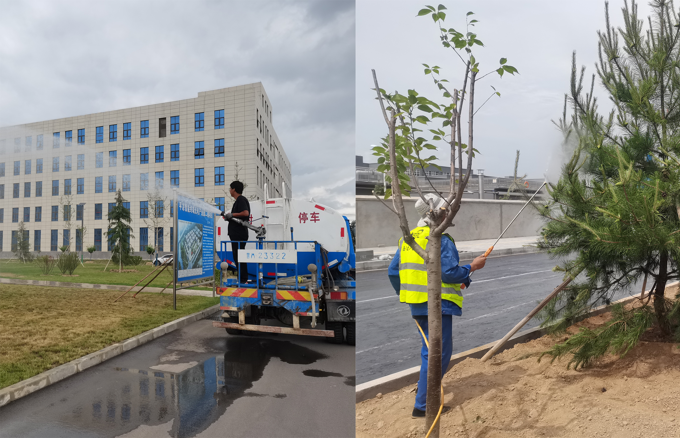 安博站官网登录入口宜浩园林公司扎实开展夏季绿化养护工作(图2)