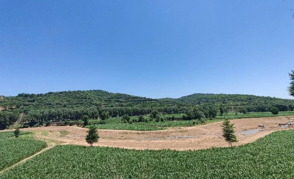 安博站官网登录入口上半年项目建设进展顺利(图12)