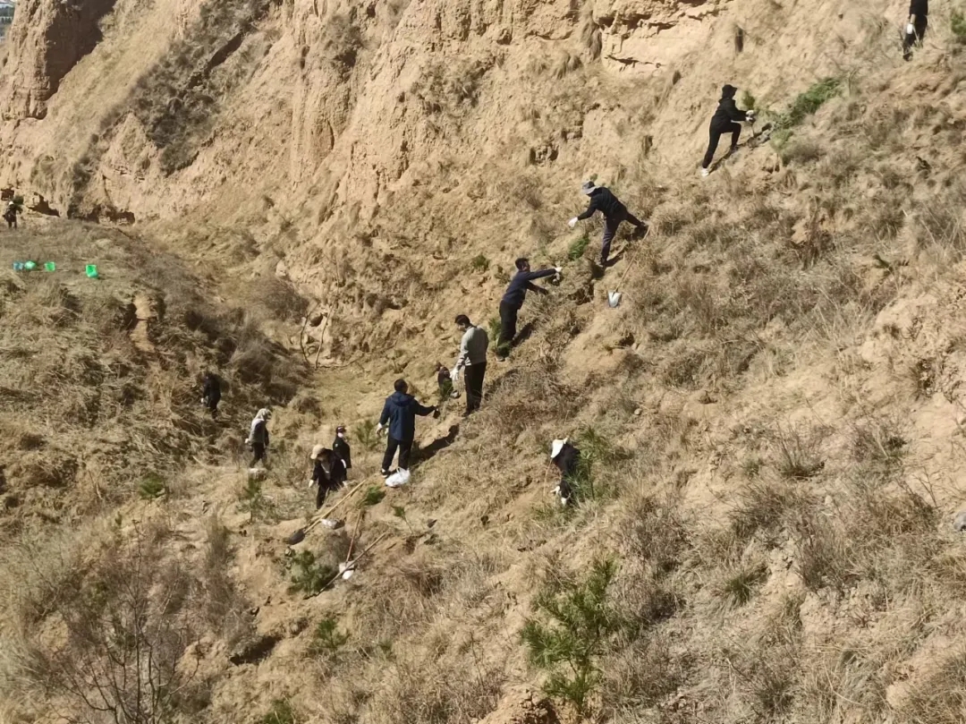 安博站官网登录入口开展义务植树活动(图2)